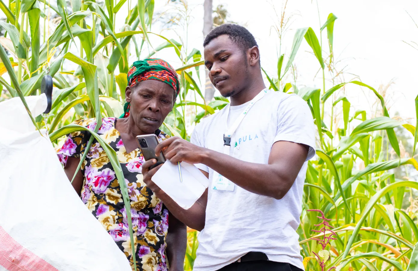 Pula raises $20M Series B to provide agricultural insurance to farmers in Africa, Asia and LatAm Annie Njanja TechCrunch