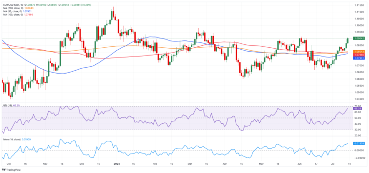 US Dollar Weekly Forecast: Check the king!  FXStreet Forex & Commodities Analysis