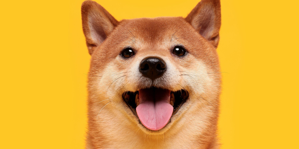Dogecoin Slows Following Monster Gains—What Happened? Andrew Hayward,Mathew Di Salvo Decrypt