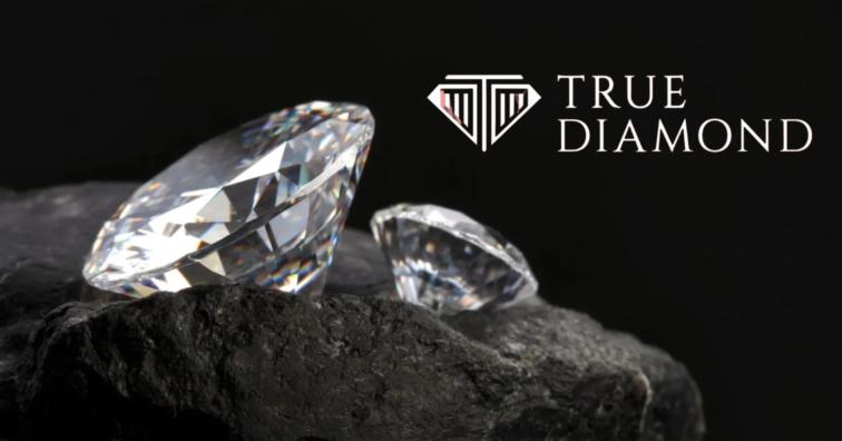 True Diamond Raises $1 Million Seed Funding  Ali Waghbakriwala Equitypandit