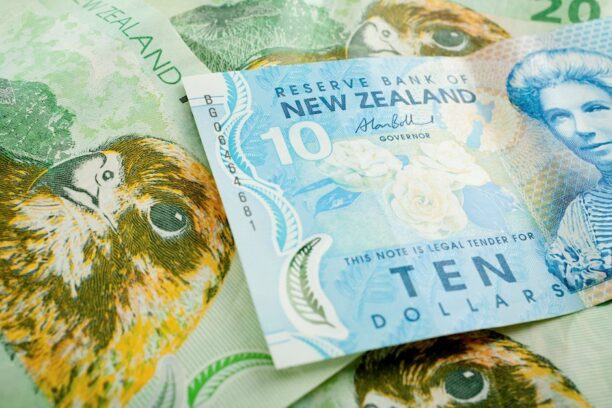 NZD/USD recovers above 0.5600 as PBOC reportedly signals rate cuts  FXStreet Forex & Commodities News