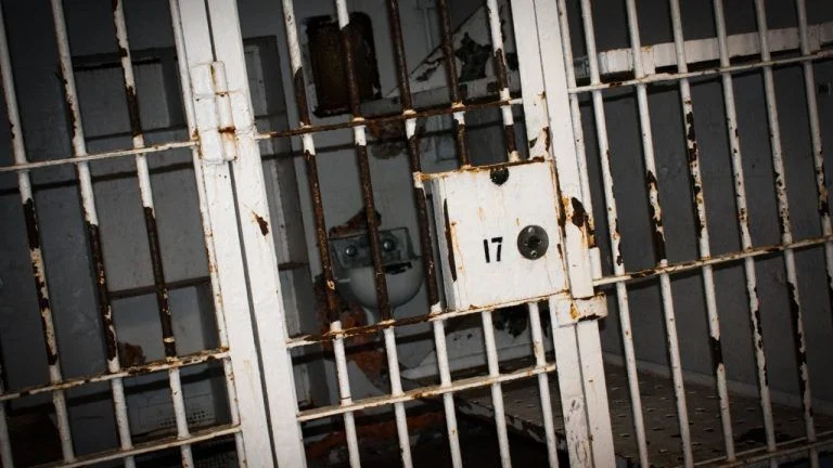 FTX Founder’s Parents Push for Pardon After Trump’s Ross Ulbricht Decision Terence Zimwara Bitcoin News