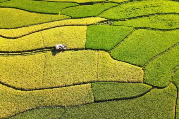 China’s bold new agricultural plan puts AI, biotech and seeds behind self-sufficiency push He Huifeng China Economy – South China Morning Post