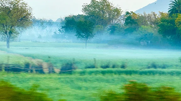 India’s Climate Finance Taxonomy Likely In Six Months: DEA Secretary PTI NDTV Profit