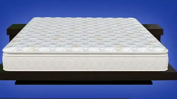 Sheela Foam Banks On Enhanced E-commerce Efficiency To Drive Margin Recovery NDTV Profit News NDTV Profit