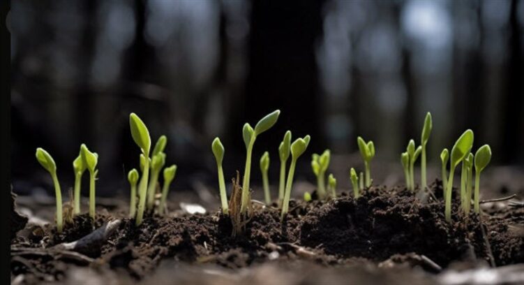 China Consumer Price inflation picked up in January, accelerated faster than expected Eamonn Sheridan Forexlive RSS Breaking News Feed