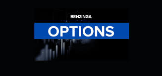 What the Options Market Tells Us About Root Benzinga Insights Markets