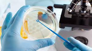 Biotech Stock TG Therapeutics Hits A High In Market Meltdown KIMBERLEY KOENIG Investor’s Business Daily