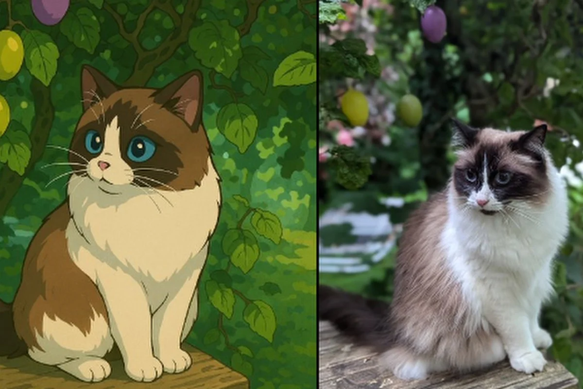 ChatGPT usage hits record as Studio Ghibli-style AI images go viral Reuters Business – South China Morning Post