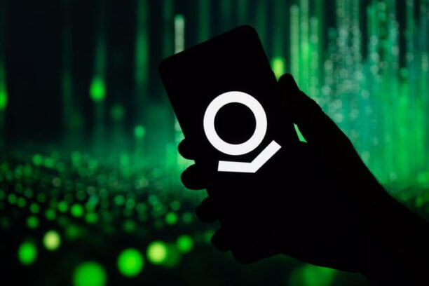 S&P 500: Palantir, 2024’s Biggest Winner, Is Ruling Again In 2025. These Giants Are Laggards. ED CARSON Investor’s Business Daily