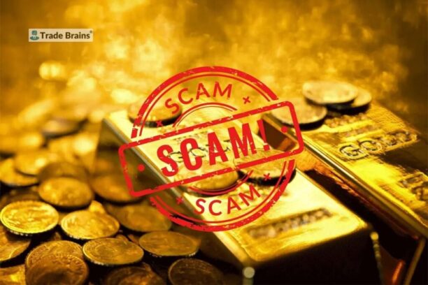 Digital Gold Scams You Need to Be Aware Of That Could Wipe Out Your Savings Trade Brains Trade Brains