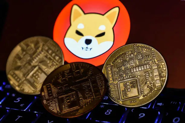 Shiba Inu Crash To Calm – Is SHIB Forming A Base Below? Godspower Owie NewsBTC