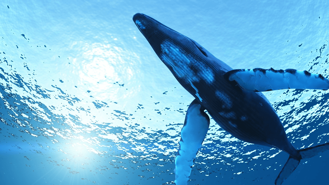 Mysterious Whale Revives Ancient BTC—2,300 Coins Shifted in August Alone Jamie Redman Bitcoin News